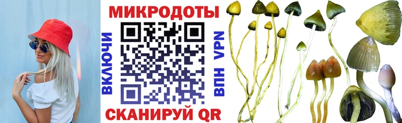 Псилоцибиновые грибы GOLDEN TEACHER  купить закладку  Котовск 